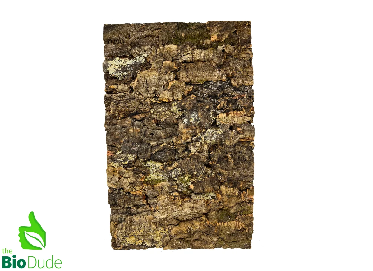 Tropical Cork Background - Bild 4