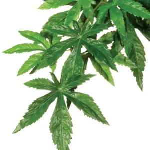 Exo Terra Hanging Abutilon Plant
