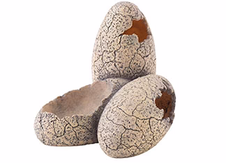 Exo Terra Dinosaur Egg Hide And Water Dish - Bild 2