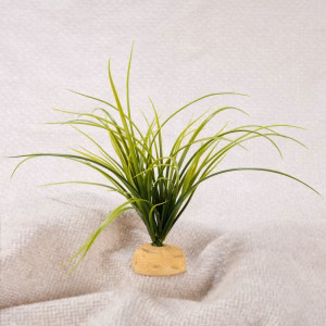 Exo Terra Turtle Grass - Bild 3