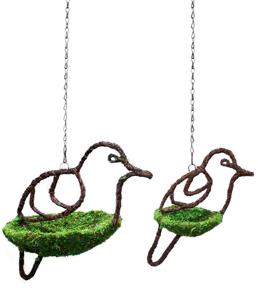 Galapagos Bird Feeder Dove Design - Bild 2