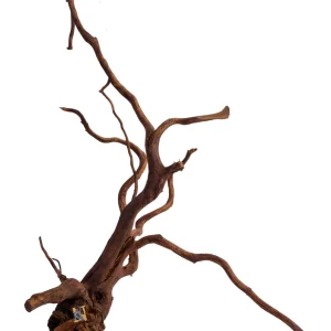 AquaGlobe Amazon Wood