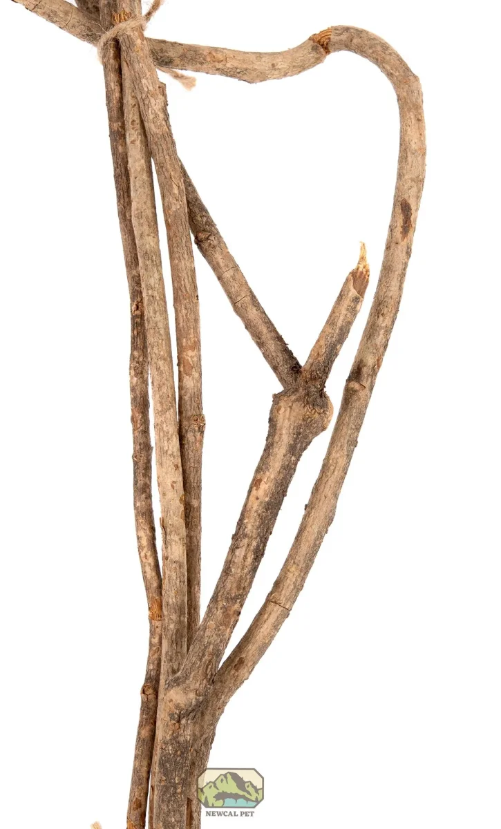 NewCal Vine Branches, 5 Pack - Bild 3