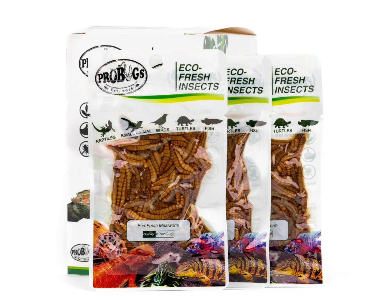 ProBugs Eco-Fresh Mealworms - Bild 2