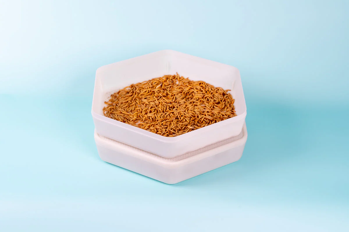 The Bug Factory Mealworm Growing Pod - Bild 6