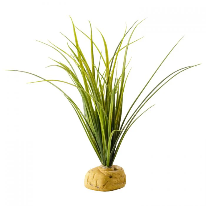 Exo Terra Turtle Grass - Bild 2