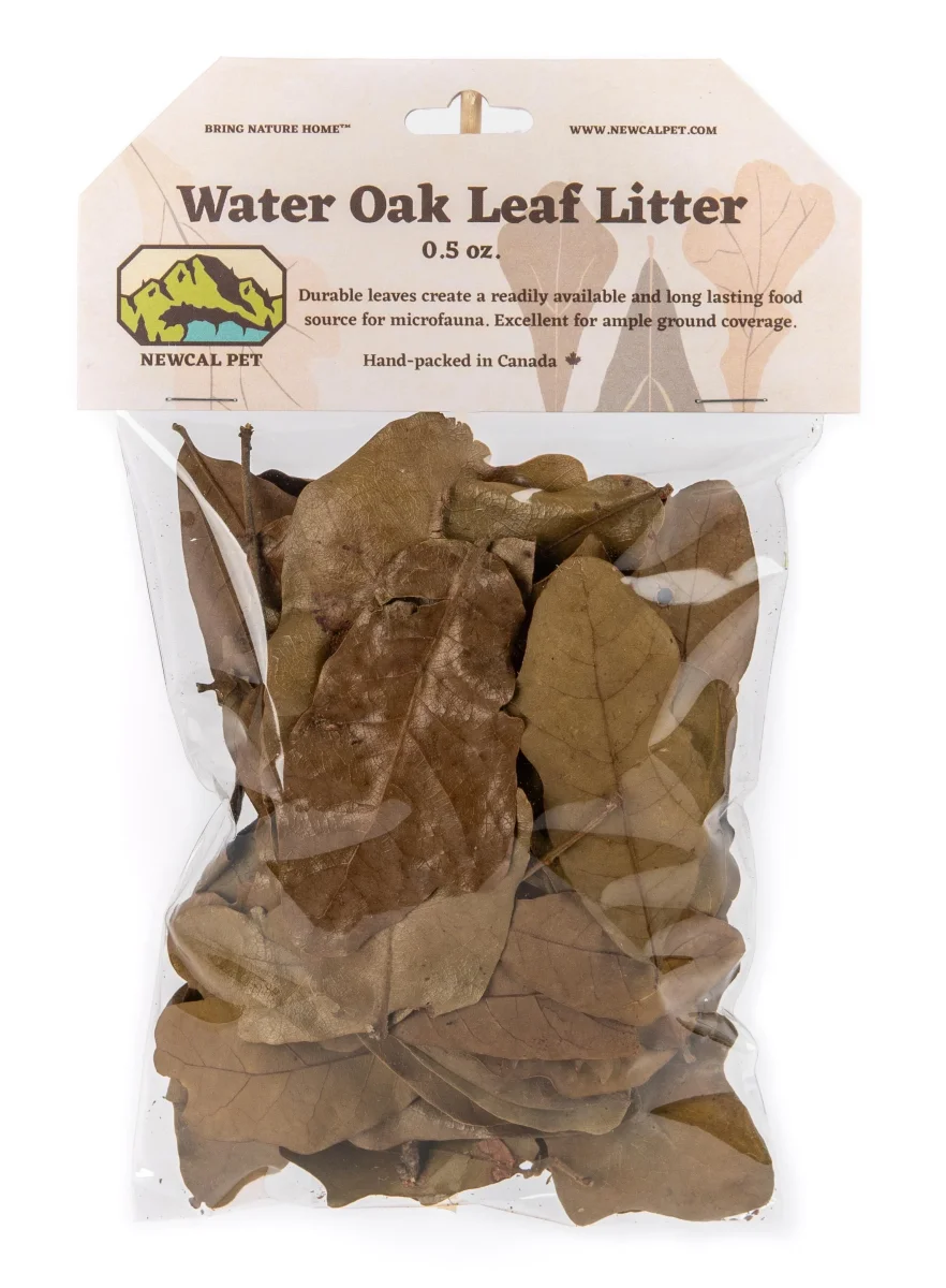 NewCal Water Oak Leaf Litter - Bild 3
