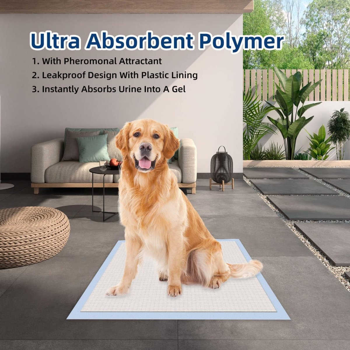 HoneyCare New Born All-Absorb, Small Dog and Puppy Training Pads, Ultra Absorbent and Odor Eliminating, Leak-Proof 5-Layer Potty Training Pads with Quick-Dry Surface, Blue Extra Small 17.5 x 23.5 inch, 120ct (2 Packs) - Bild 3
