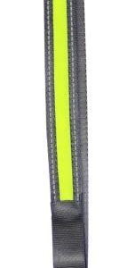 RSPCA Reflective LED Lead
