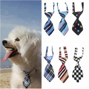 Cat/Dog Gentleman Tie