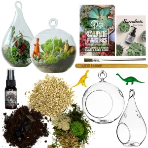 Terrarium Starter Kit + Round and Pear Hanging Glasses