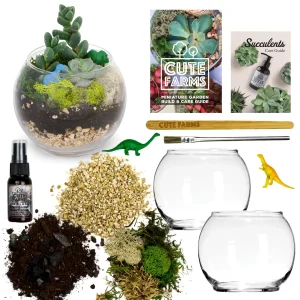 Terrarium Starter Kit + Two Glass Bowls