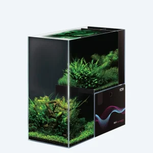 DYMAX IQ9 Mini Drop Off Tank