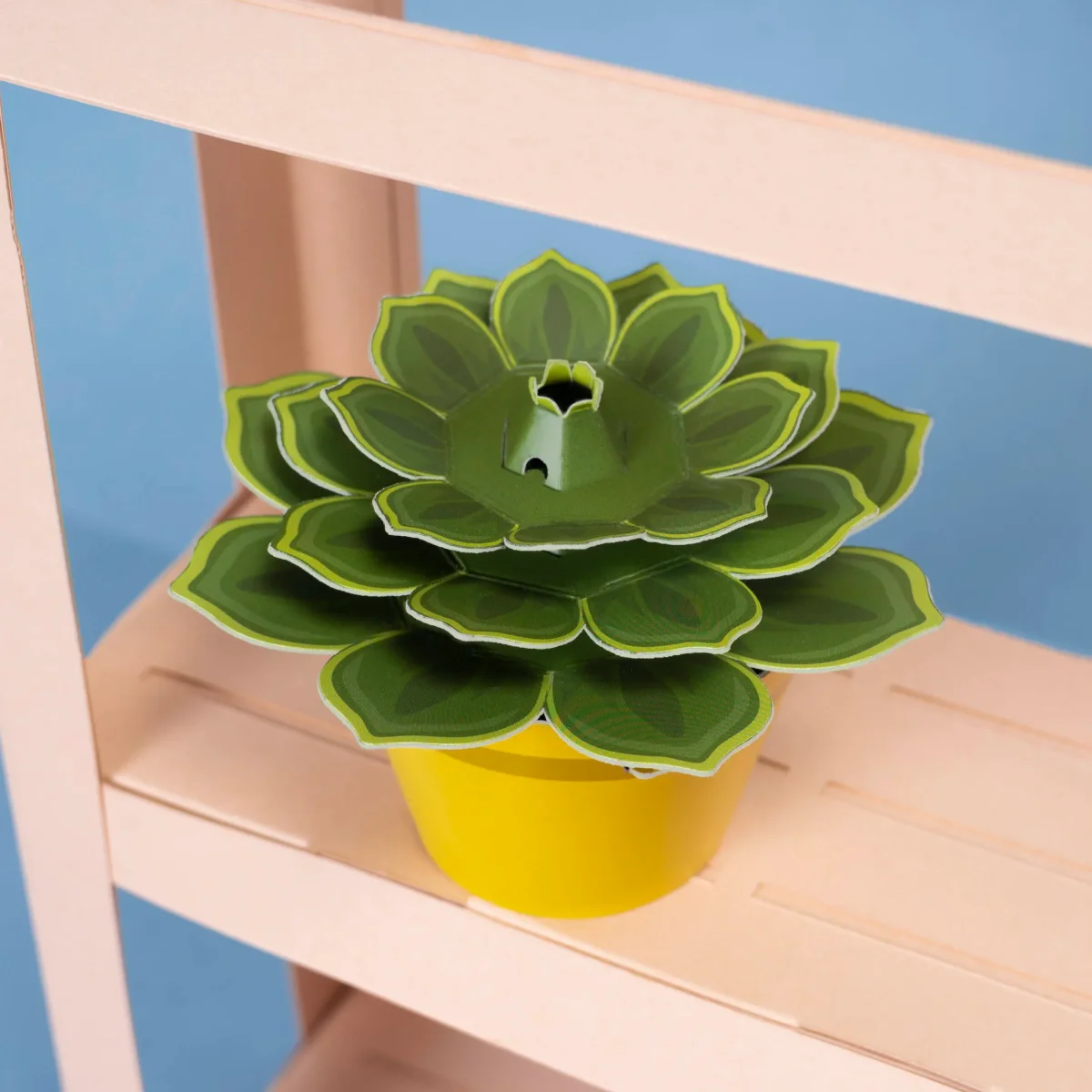 Mini Paper Plant Kit - Make Your Own Soothing Succulent - Bild 3