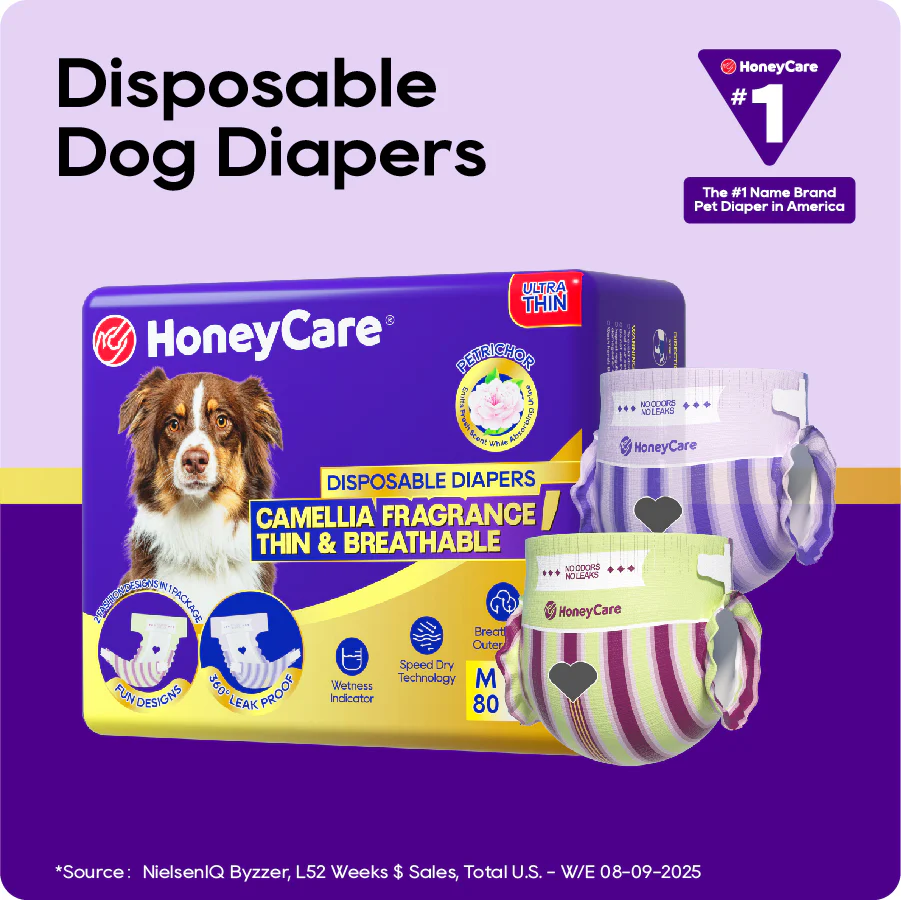 HoneyCare® Petrichor (Camellia Fragrance)Female Dog Diaper (1 Pack)