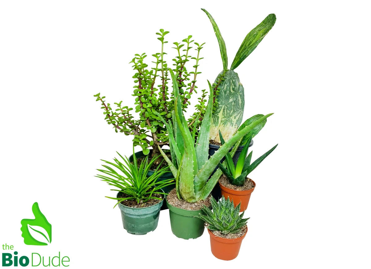 Herbivore Plant Pack - Bild 2