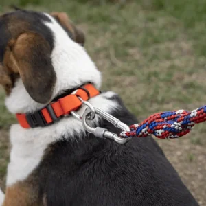 Hook Nuts for Dog Leash * 1
