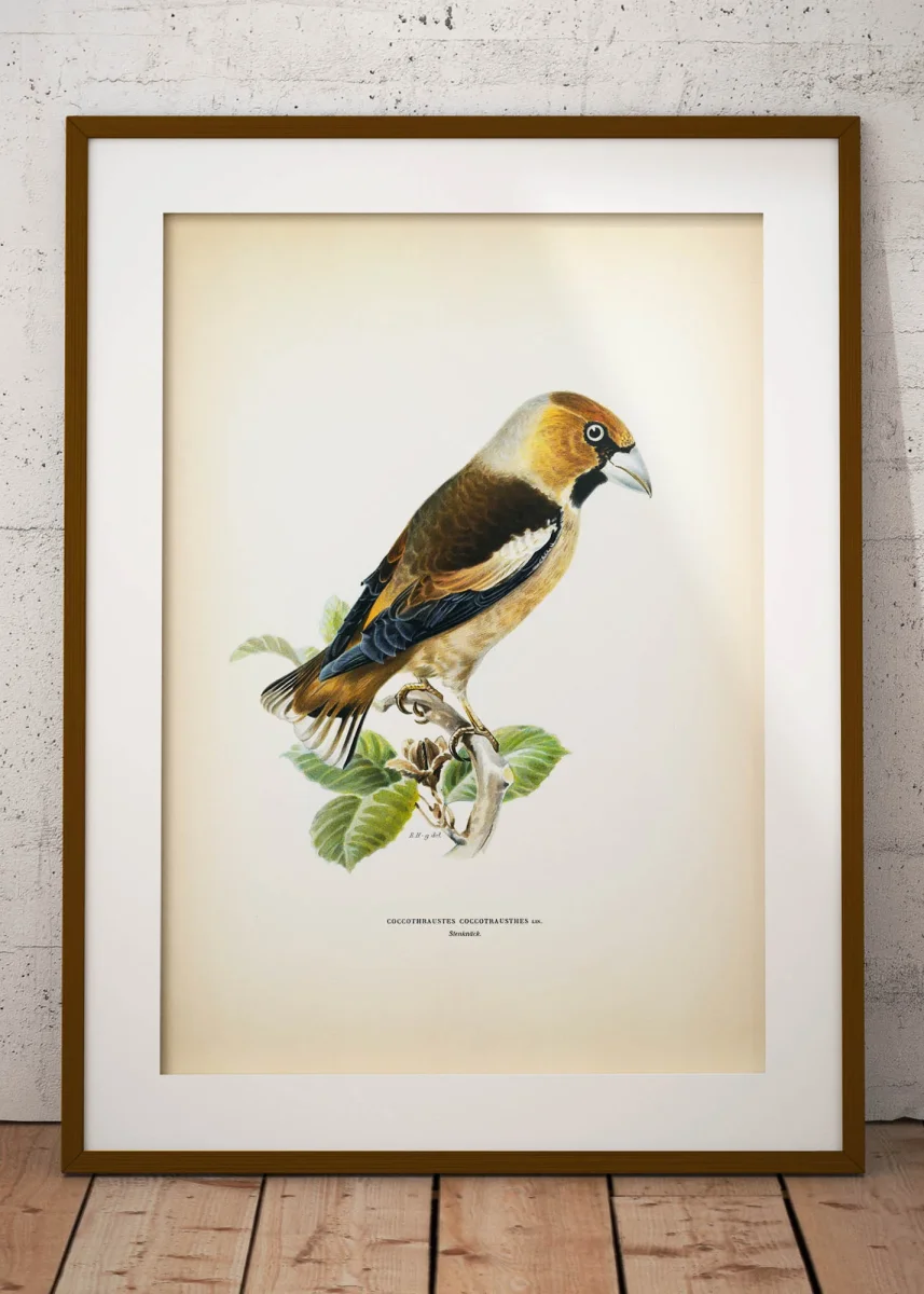 Stenknäck - Bild 4