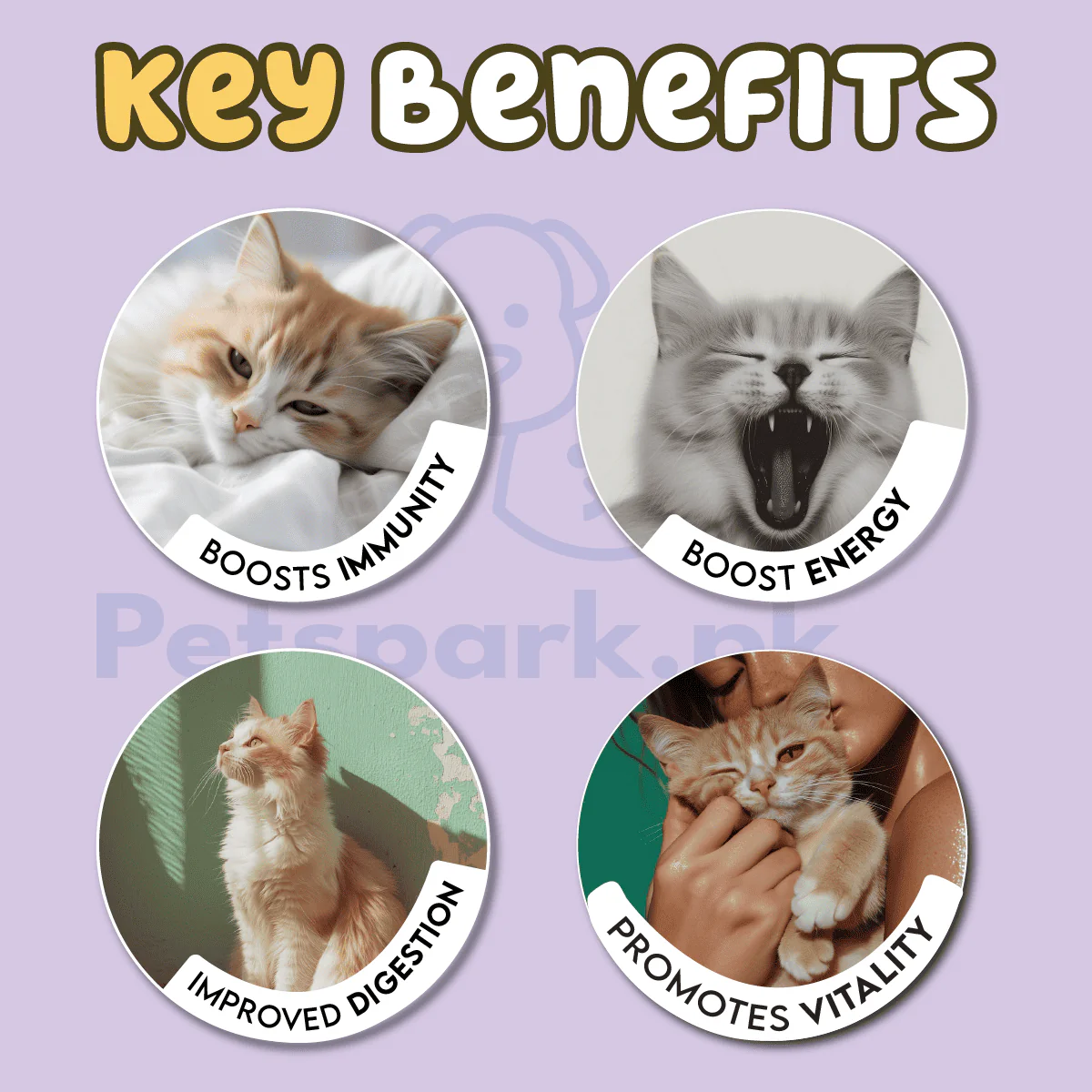 Pawfect Adult Cat Food - 1 Year and Above - Bild 4