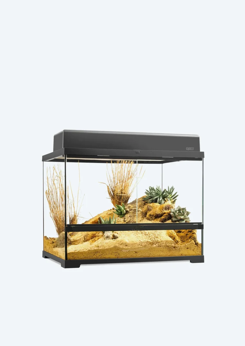 Pro Terrarium Medium Wide - Bild 3