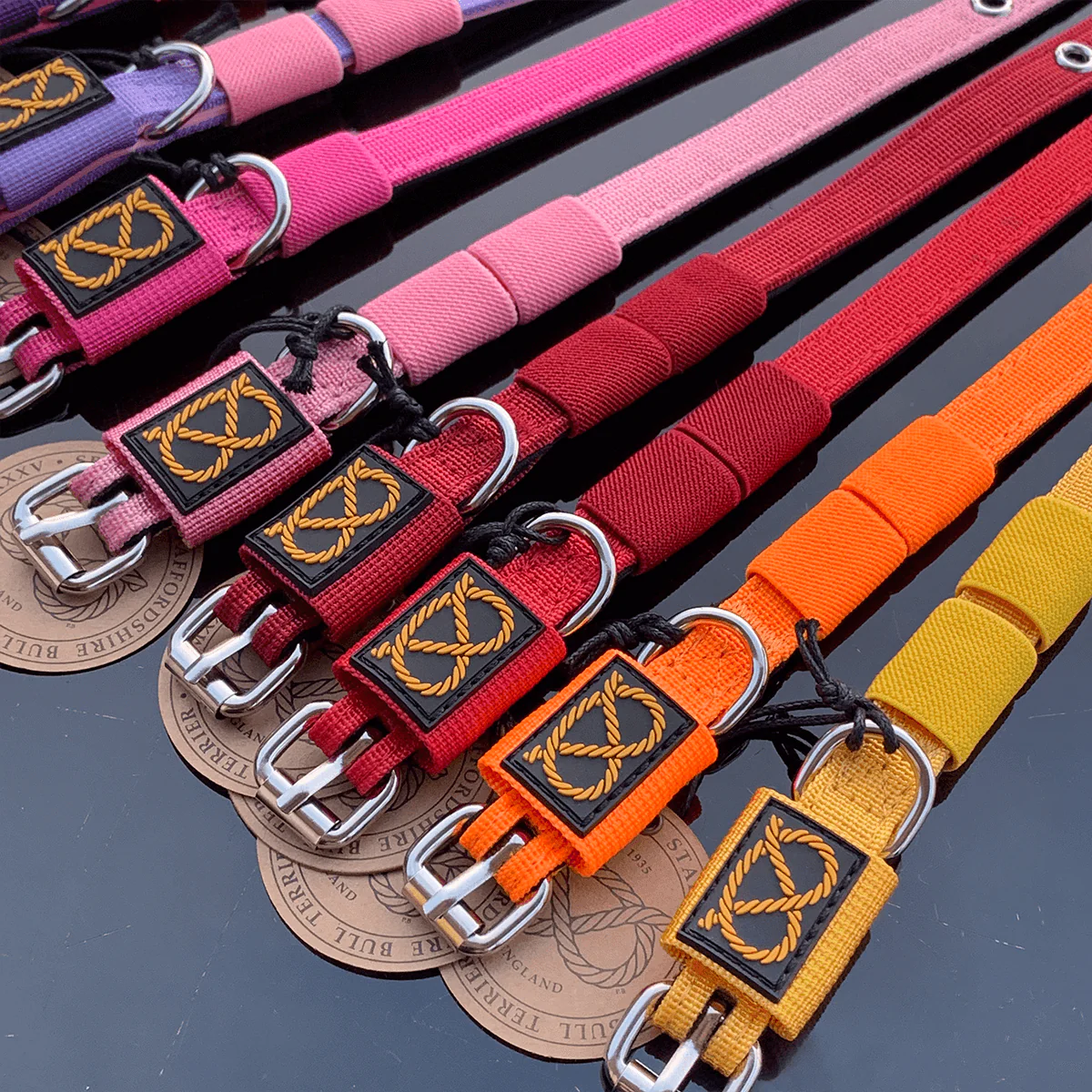Staffordshire Bull Terrier 1935® Puppy Collar & Leash Set - Milkshake - Bild 8