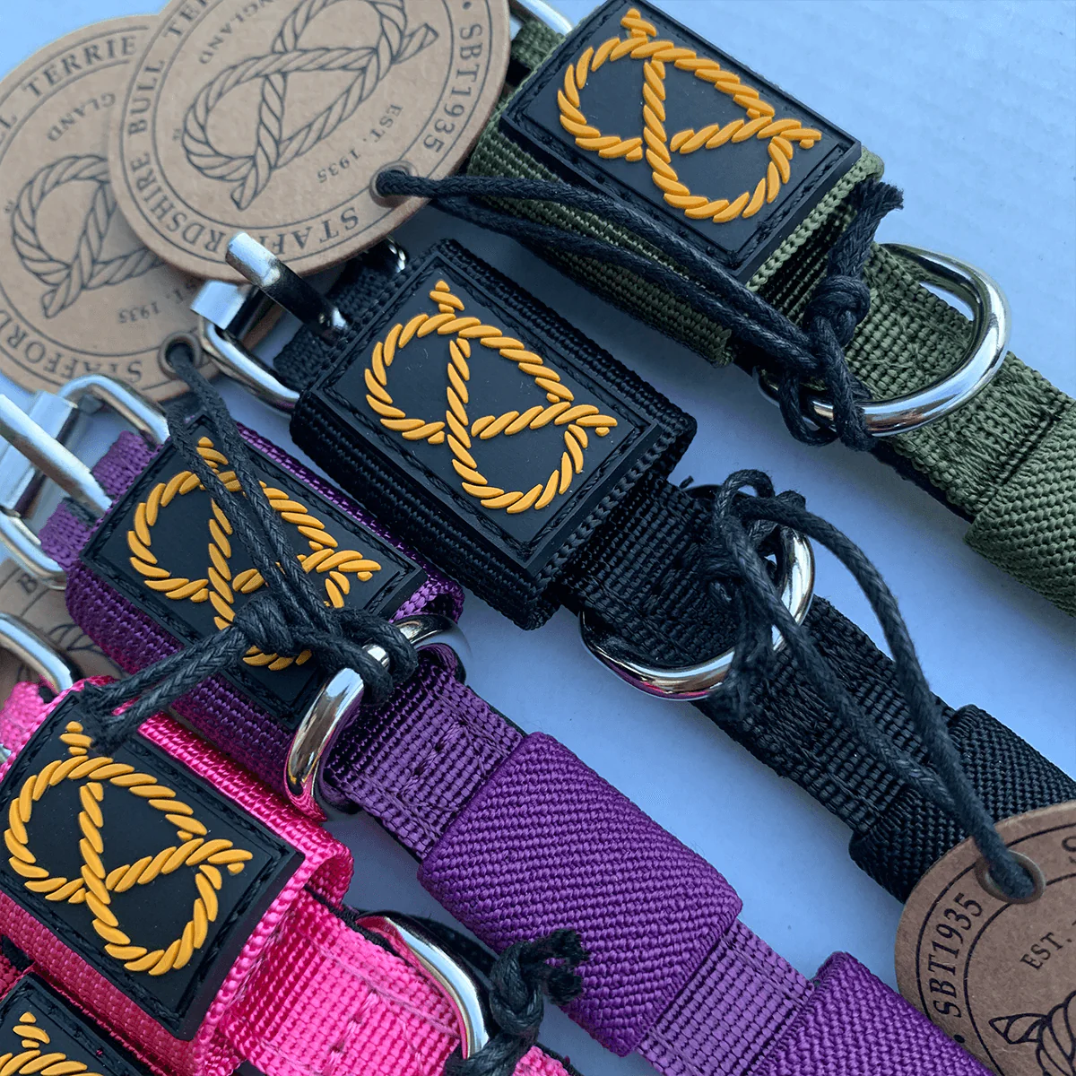 Staffordshire Bull Terrier 1935® Puppy Collar & Leash Set - Milkshake - Bild 7