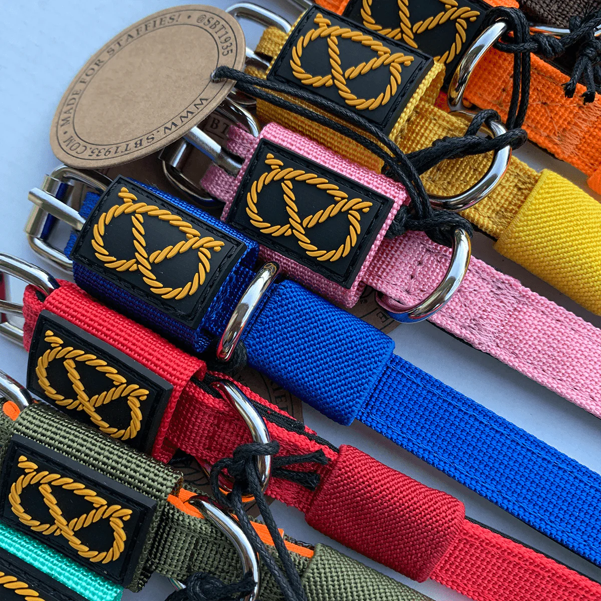 Staffordshire Bull Terrier 1935® Puppy Collar & Leash Set - Milkshake - Bild 4