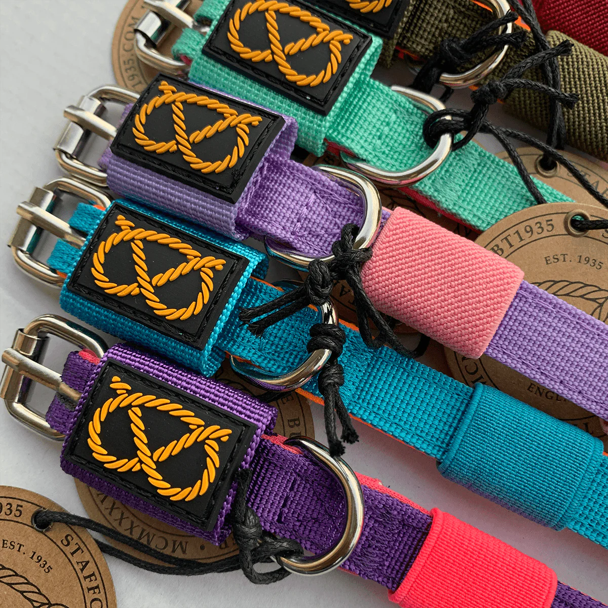 Staffordshire Bull Terrier 1935® Puppy Collar & Leash Set - Milkshake - Bild 3