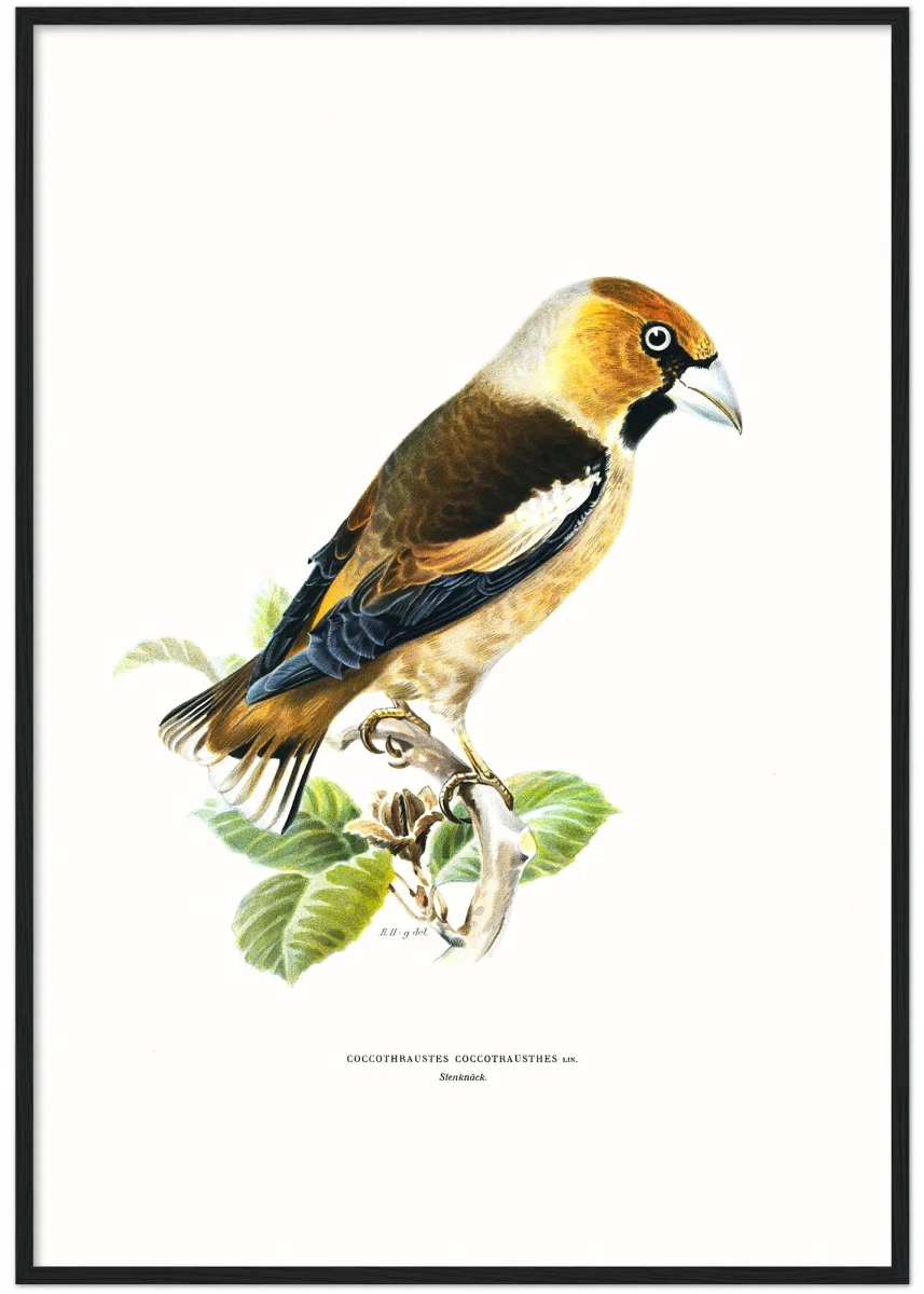 Stenknäck - Bild 7