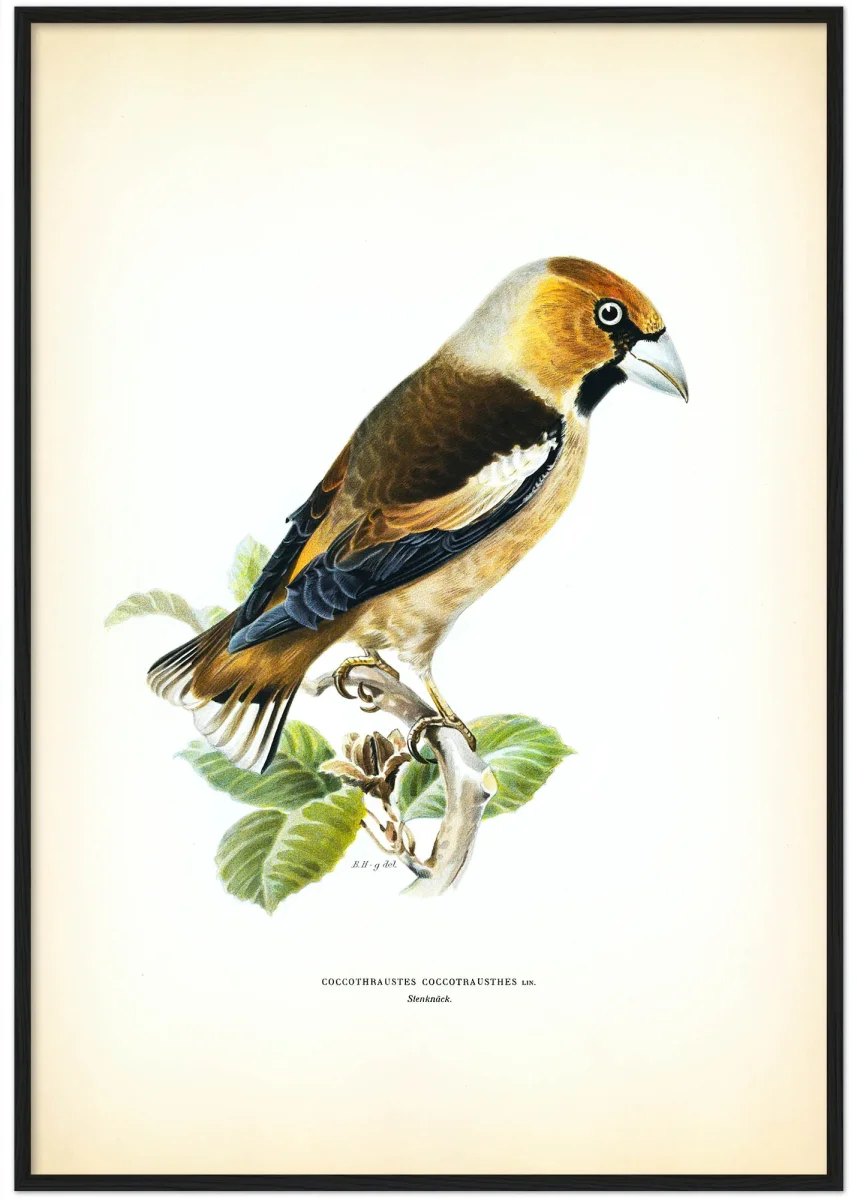 Stenknäck - Bild 5