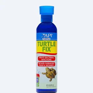 API Turtle Fix