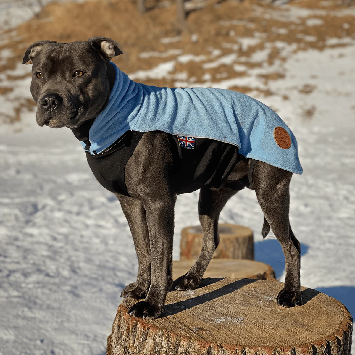 Staffordshire Bull Terrier 1935® Fleece Coat - Baby Blue - Bild 4
