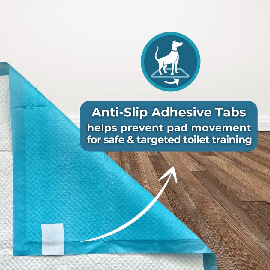 PetCellence Extra Large Puppy Pads 40 Pack | Toilet Training For Pet Dogs - Bild 5