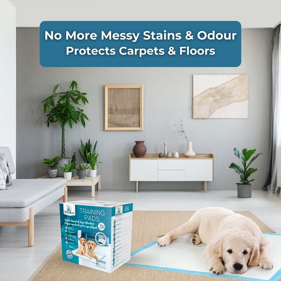 PetCellence Extra Large Puppy Pads 40 Pack | Toilet Training For Pet Dogs - Bild 8