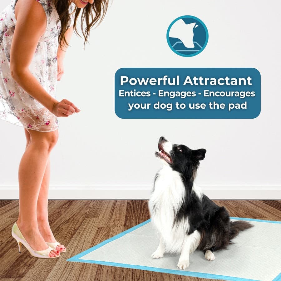PetCellence Extra Large Puppy Pads 40 Pack | Toilet Training For Pet Dogs - Bild 6