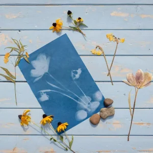 Solar Photo Paper (set of 6 A4 sheets)