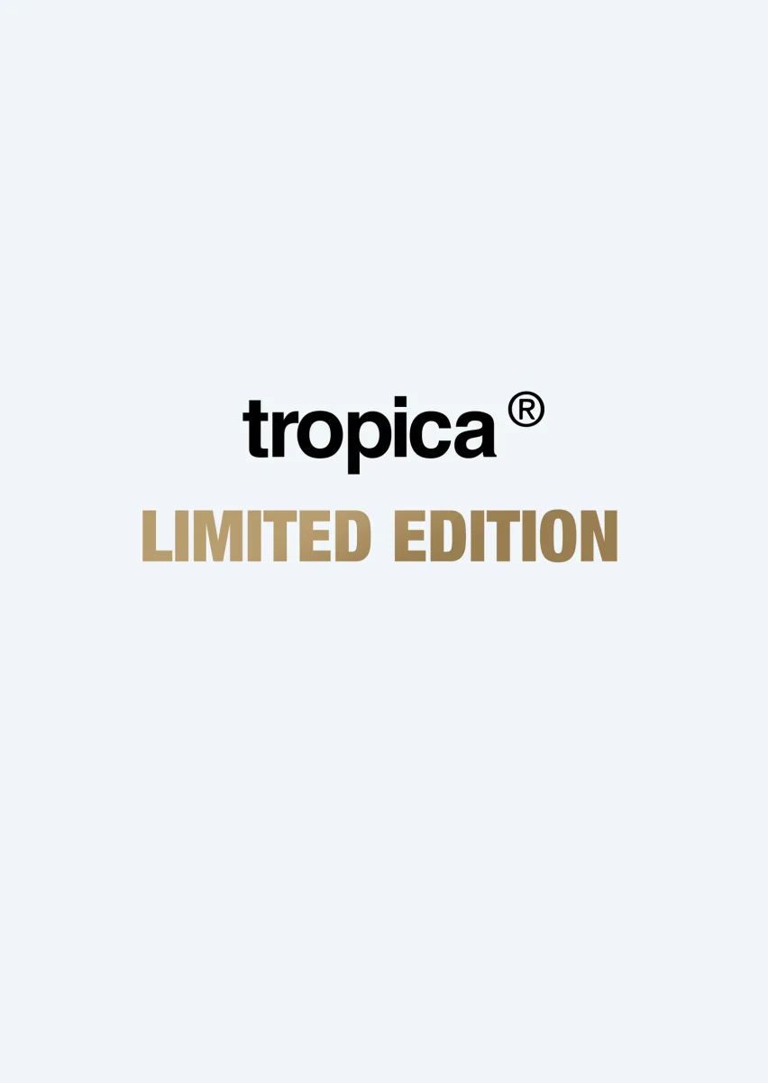 Limited Edition - A. madagascariensis - Bild 6