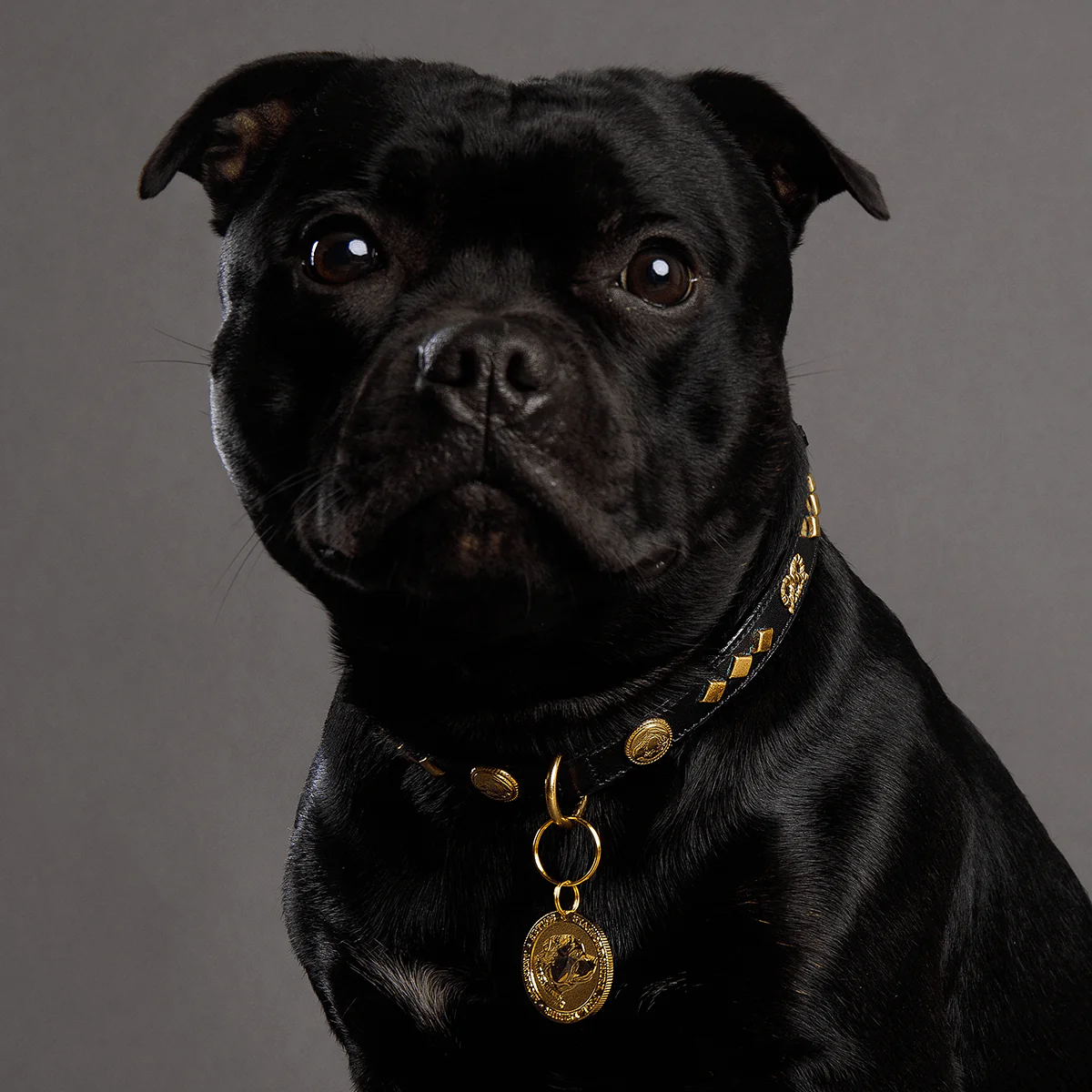 Staffordshire Bull Terrier 1935® Nametag - Shiny - Bild 9