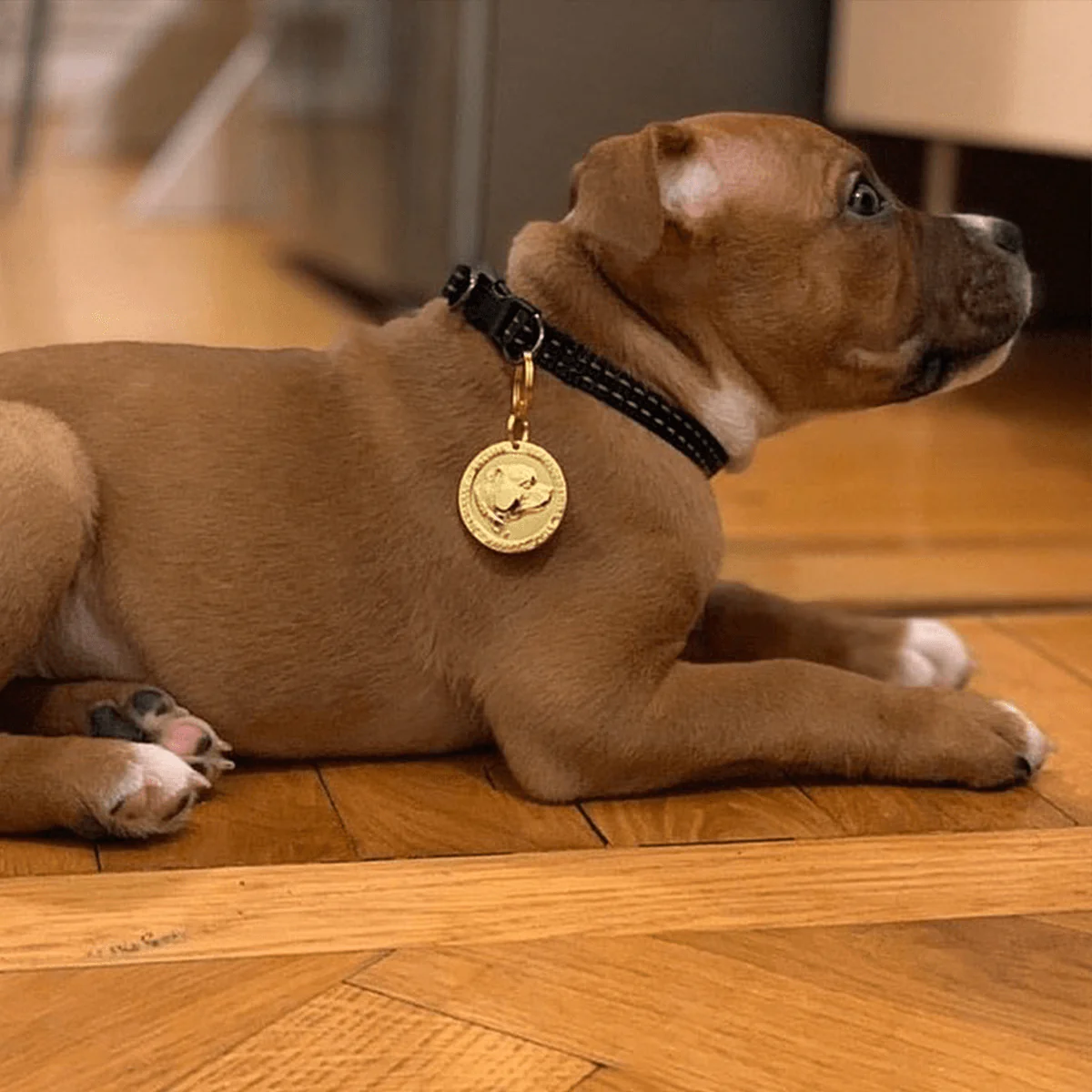 Staffordshire Bull Terrier 1935® Nametag - Shiny - Bild 8