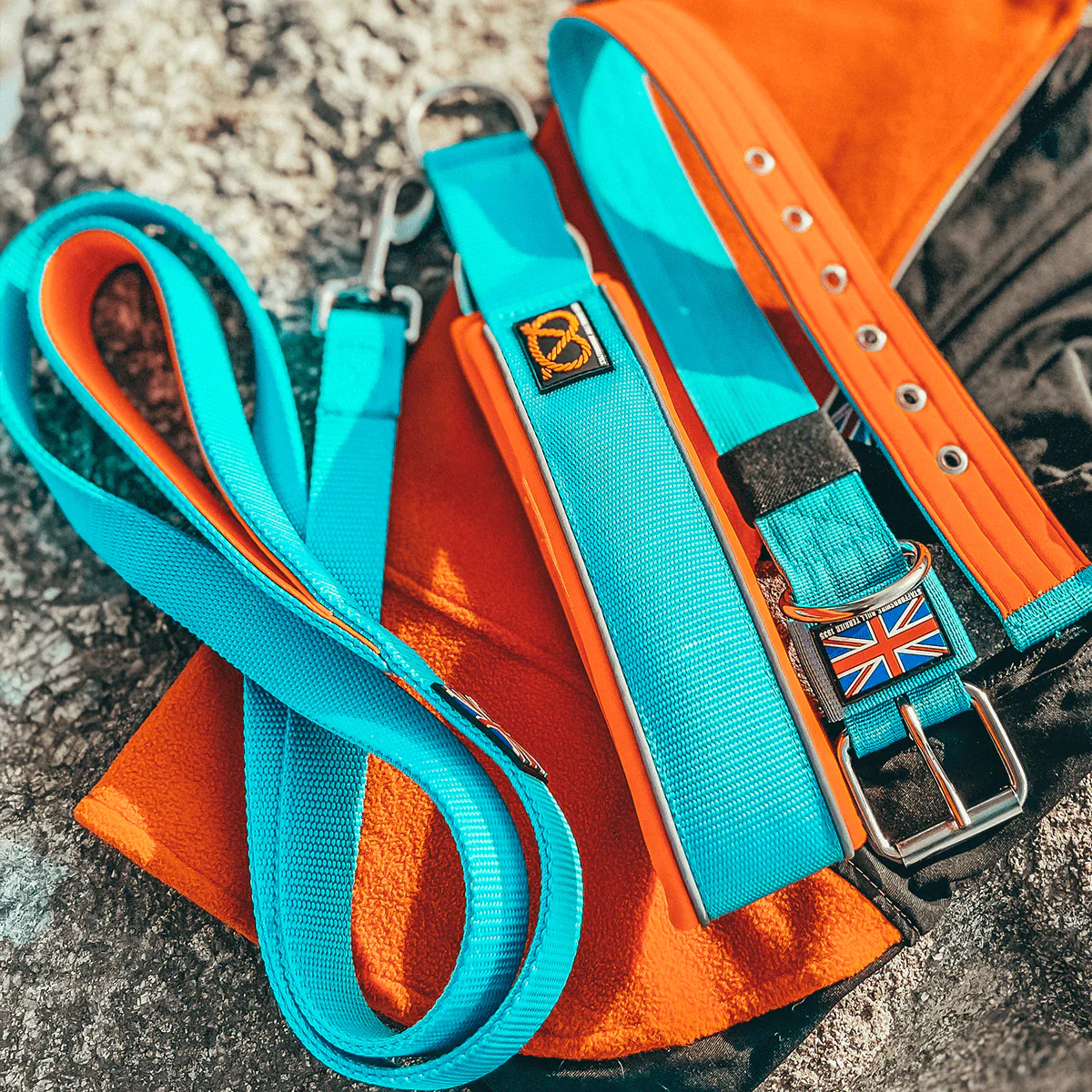 Staffordshire Bull Terrier 1935® Nylon Leash - Alvin Edition - Aqua & Neon Orange - Normal - Bild 7