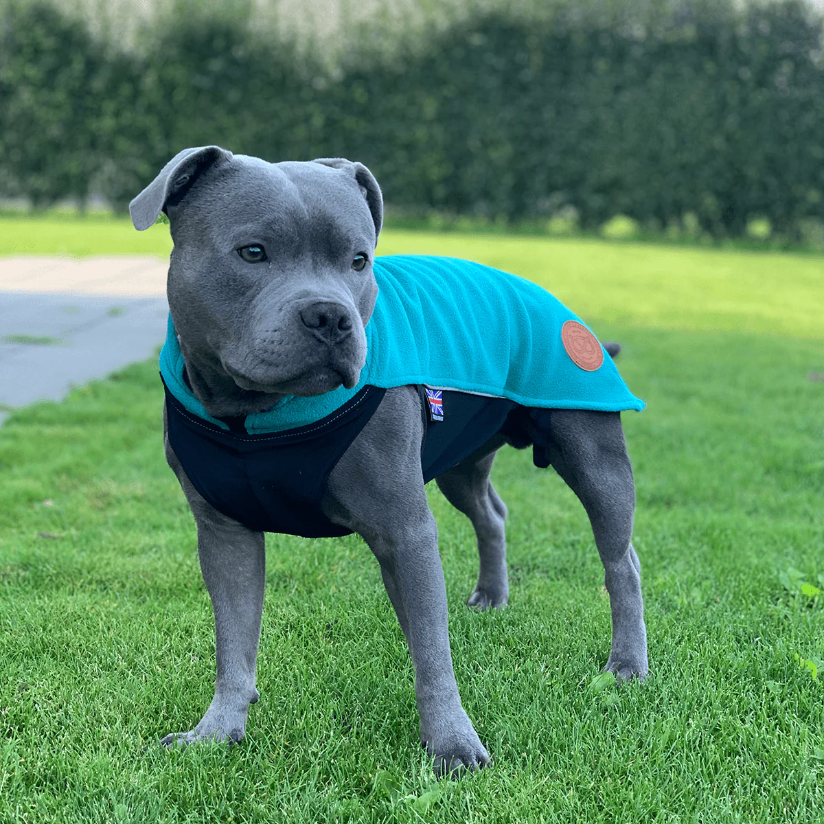Staffordshire Bull Terrier 1935® Fleece Coat - Petrol - Bild 8