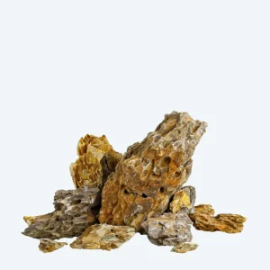 Pine Rock