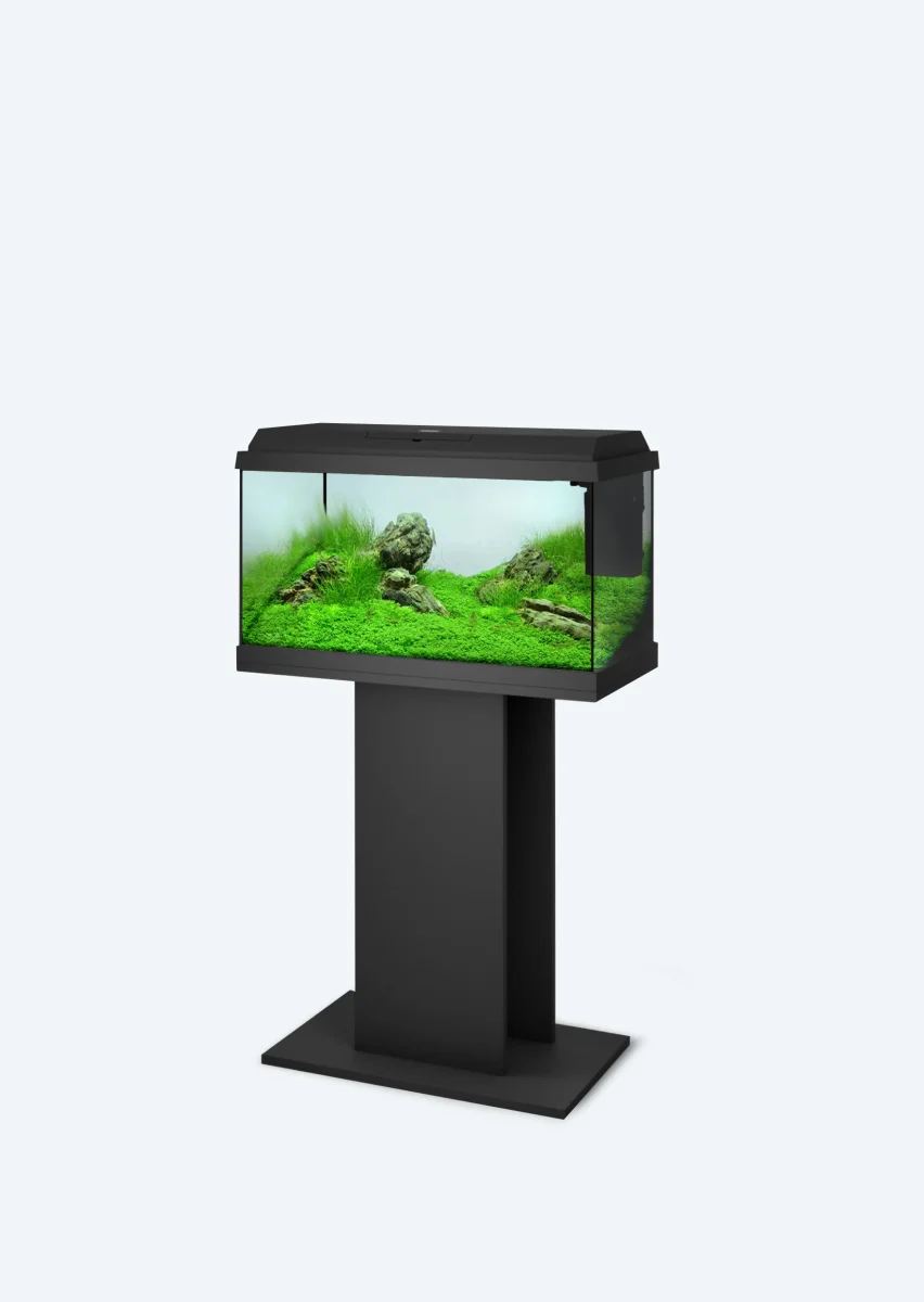 JUWEL Primo 60 (Planted Set Deal) - Bild 3