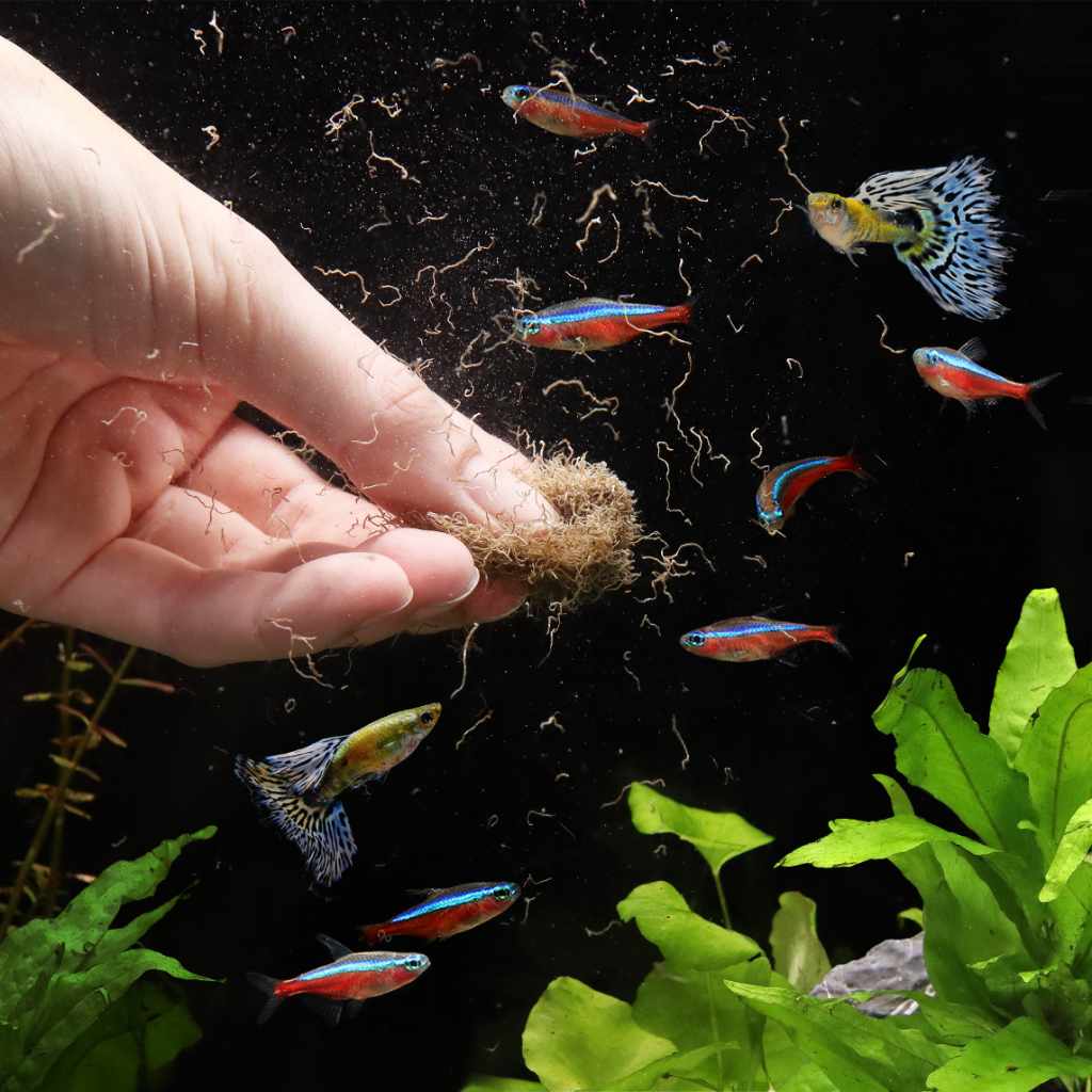 Aquarium Co-Op Freeze Dried Tubifex Worms - Bild 7