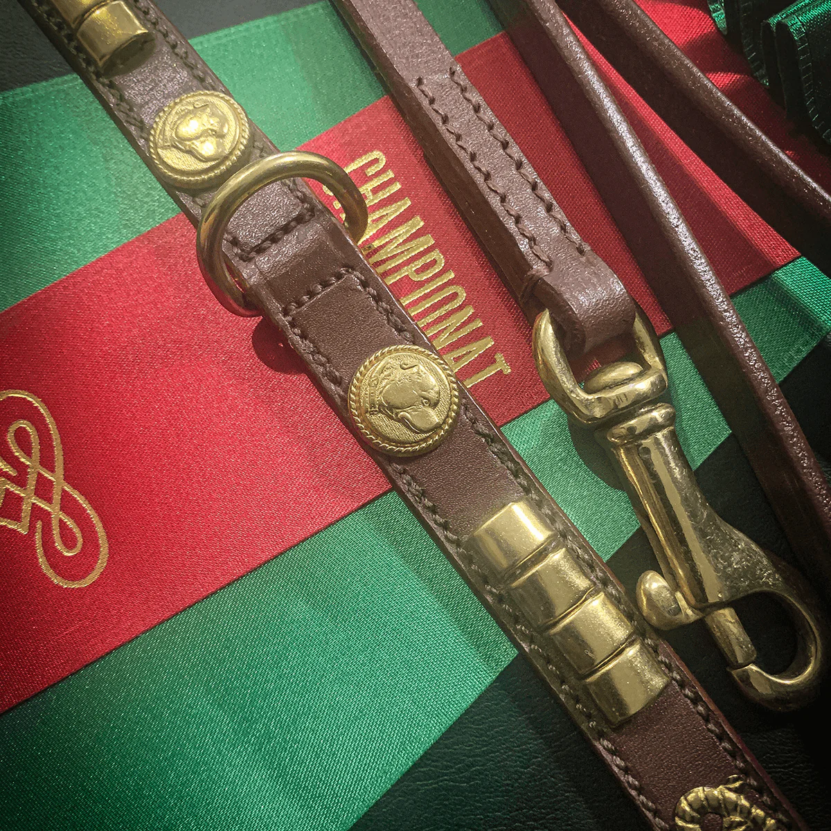 Staffordshire Bull Terrier 1935® Show Collar & Leash Set - Champion - Brown & Gold - Bild 3