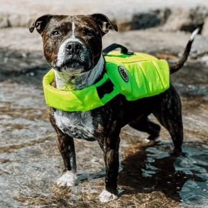 Staffordshire Bull Terrier 1935® Life Jacket - Neon Green