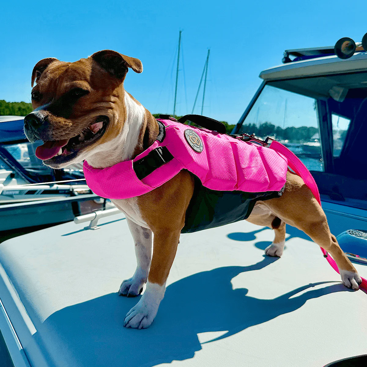 Staffordshire Bull Terrier 1935® Life Jacket - Neon Pink - Bild 9