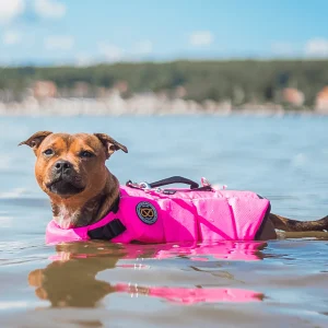 Staffordshire Bull Terrier 1935® Life Jacket - Neon Pink