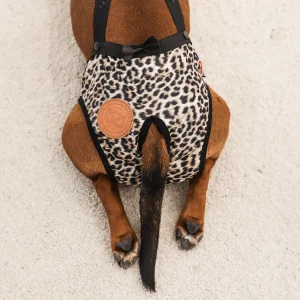 Staffordshire Bull Terrier 1935® Hygiene Panties with Suspenders - Leopard