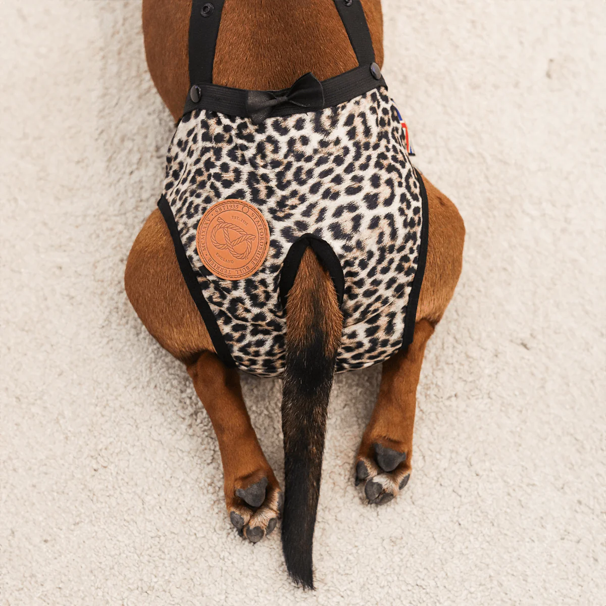 Staffordshire Bull Terrier 1935® Hygiene Panties with Suspenders - Leopard - Bild 2
